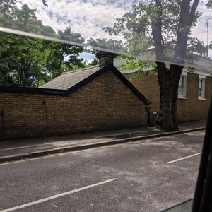 IMG_20190705_072513.jpg